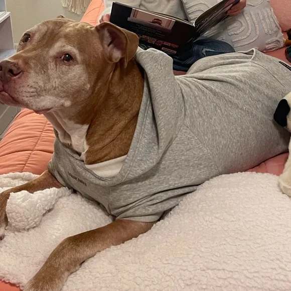 Spark Paws Grey Dog Fleece Hoodie 5XL - Picture 5 of 6